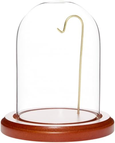 Plymor 3" x 4" Watch Glass Display Dome Cloche by Plymor