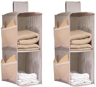 Hanging Closet Organizer, 4-Section Storage Shelves, Oxford Cloth with Mesh Pockets, (Gray, 2 Section) by Fasolara
