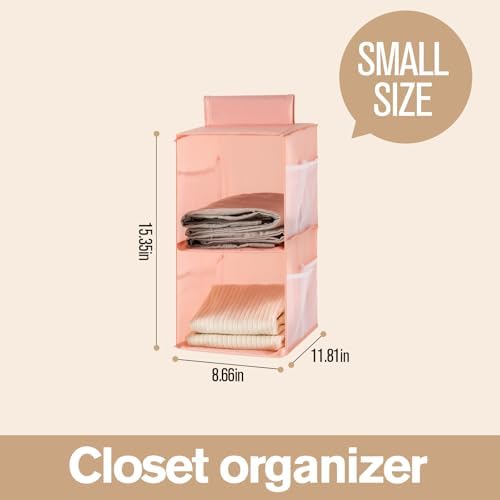 Hanging Closet Organizer, 4-Section Storage Shelves, Oxford Cloth with Mesh Pockets, (Pink, 2 Section) - Image 2