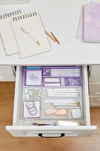 Annova Desk Drawer Organizer/Storage Tray - Metal Mesh with Dividers for Pens, Desktop Accessories, Bathroom, Kitchen, Makeup and Office Supplies (Small, Light Purple) - Image 5