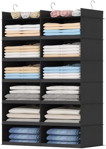 Lifewit 12 Sections Dual-Row Shelf Hanging Closet Storage Organizer, Black by Lifewit