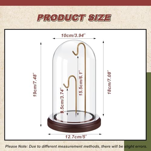 Beeveer 1pc 4x7 Pocket Watch Display Case 2 Hook Walnut Gold - Image 2