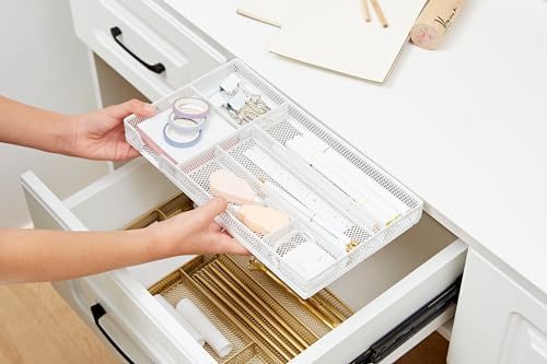 Annova Desk Drawer Organizer Tray for Office Organization - Metal Mesh - Storage Tray with Dividers for Pens, Desktop Accessories, Bathroom, Kitchen, Makeup and Office Supplies (Small, White) - Image 6
