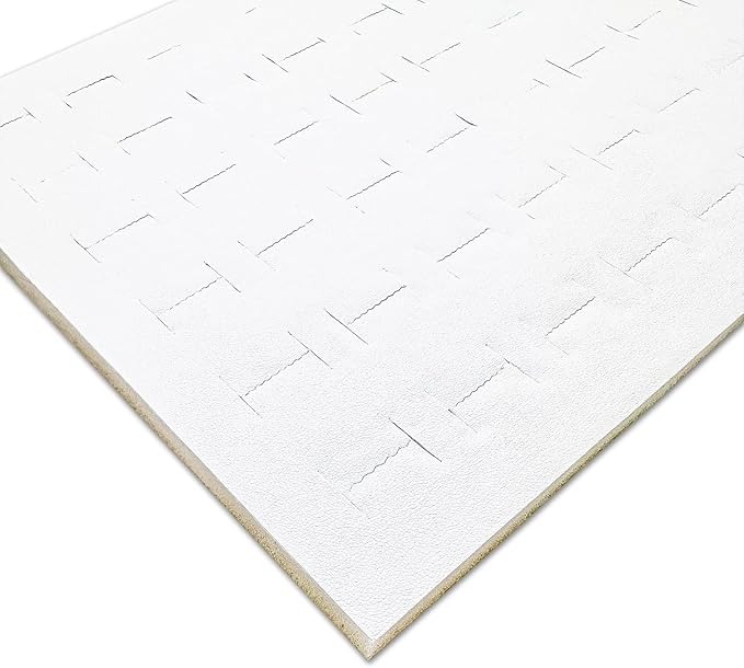 TheDisplayGuys For Your Modern Living 2-Pack 72-Ring Holders Leatherette Foam Padding Jewelry Inserts - Tray/Case Liners - Retail Display, Storage (White) by The Display Guys