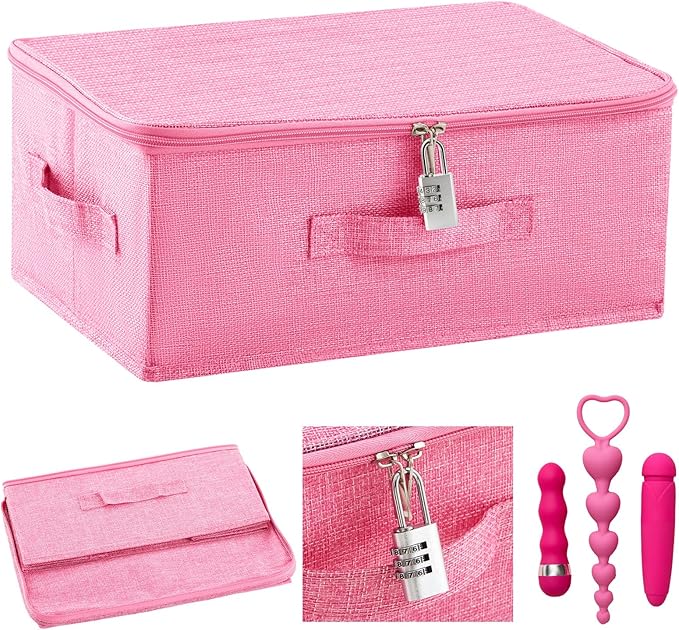 Briwooody Discreet Lockable Toy Bag Storage Organizer Toy Bag Storage Bins Case with Zipper Lid for Women and Men Clothes Container(Pink,15 x 10 x 6.3 Inch)