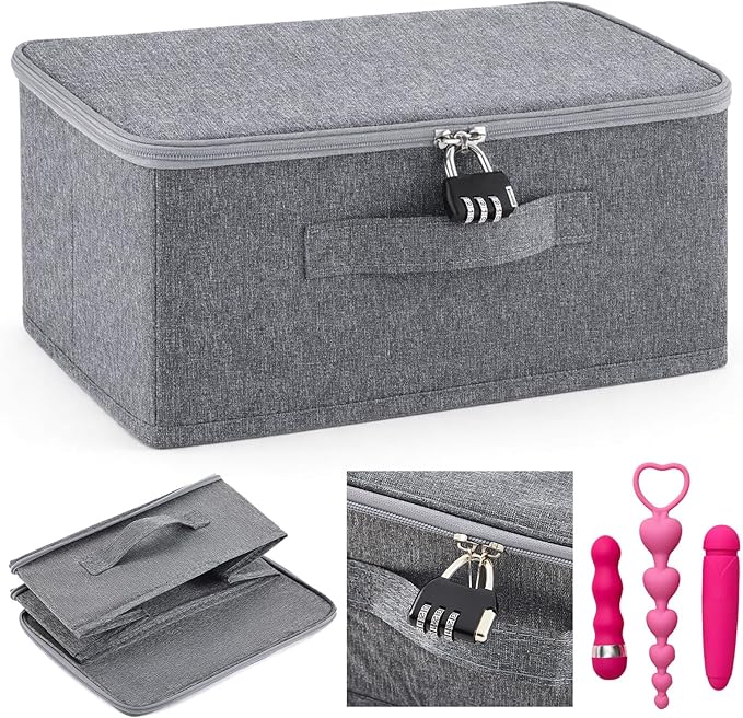 Briwooody Discreet Lockable Toy Bag Storage Organizer Toy Bag Storage Bins Case with Zipper Lid for Women and Men Clothes Container (Gray,11.8 x 7.9 x 5.5 Inch)