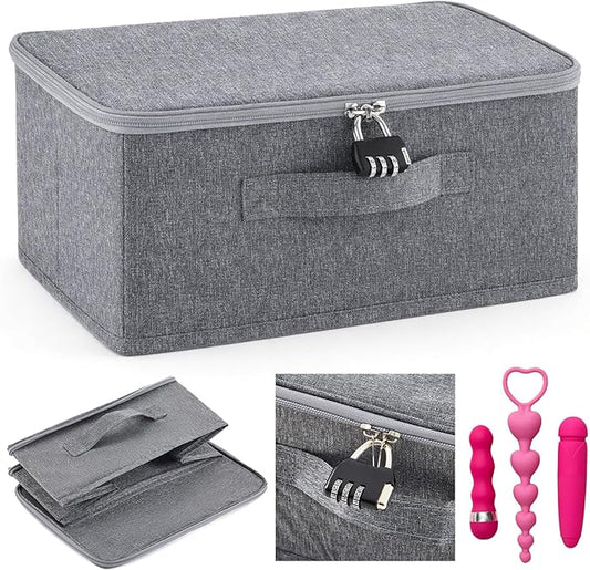 Briwooody Discreet Lockable Toy Bag Storage Organizer Toy Bag Storage Bins Case with Zipper Lid for Women and Men Clothes Container (Gray,11.8 x 7.9 x 5.5 Inch)