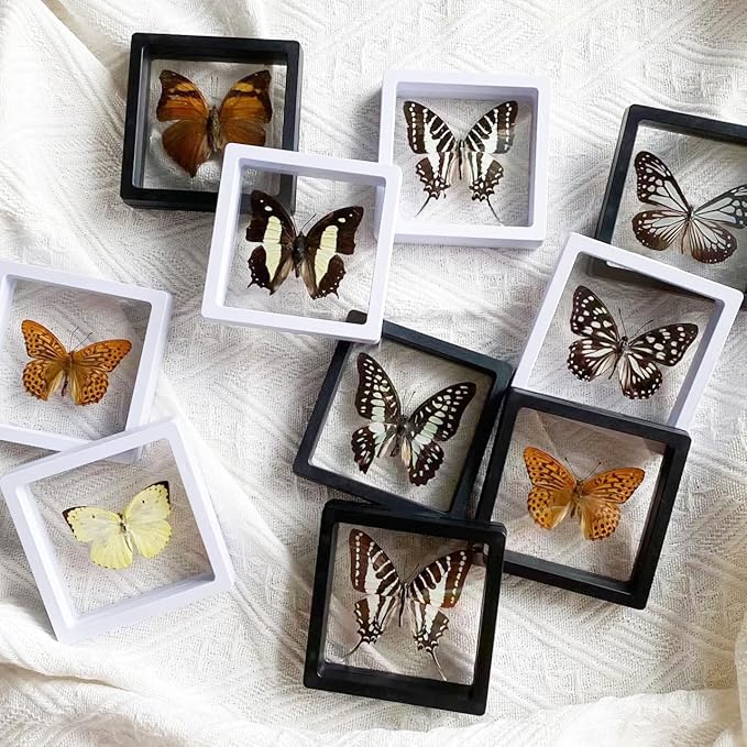 12PCS 3D Floating Frame Display Stand, Jewelry Box, Gift Box, Ornament Organizer, Small Travel Jewelry Box, PE Film Anti-Oxidation, Suspended Display Box Stackable (Black, 2.75*2.75)