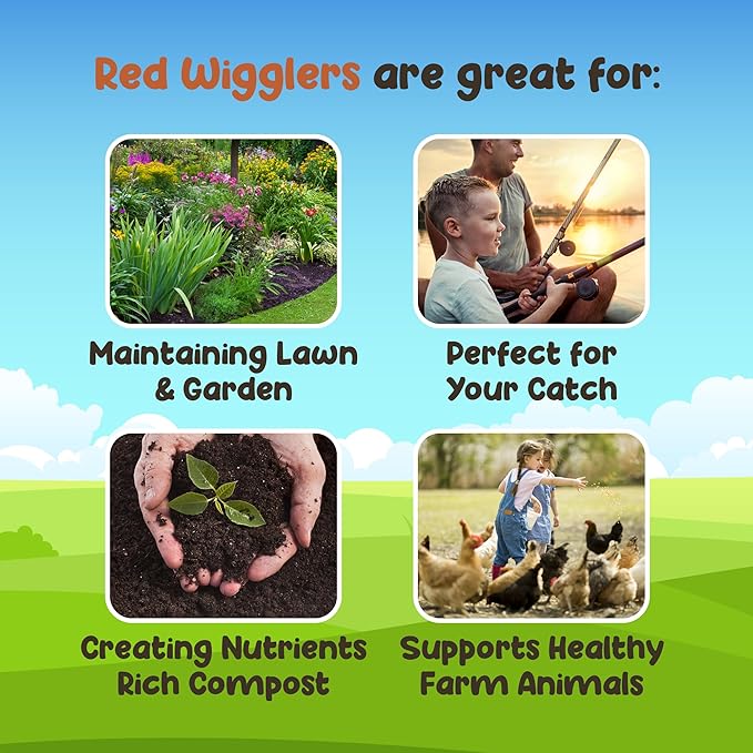 Red Wigglers Composting Worms - 1lb Red Worms for Composting - Use on Worm Castings for Plants, Garden, Worm Farm & Compost Starter, Easy to Manage
