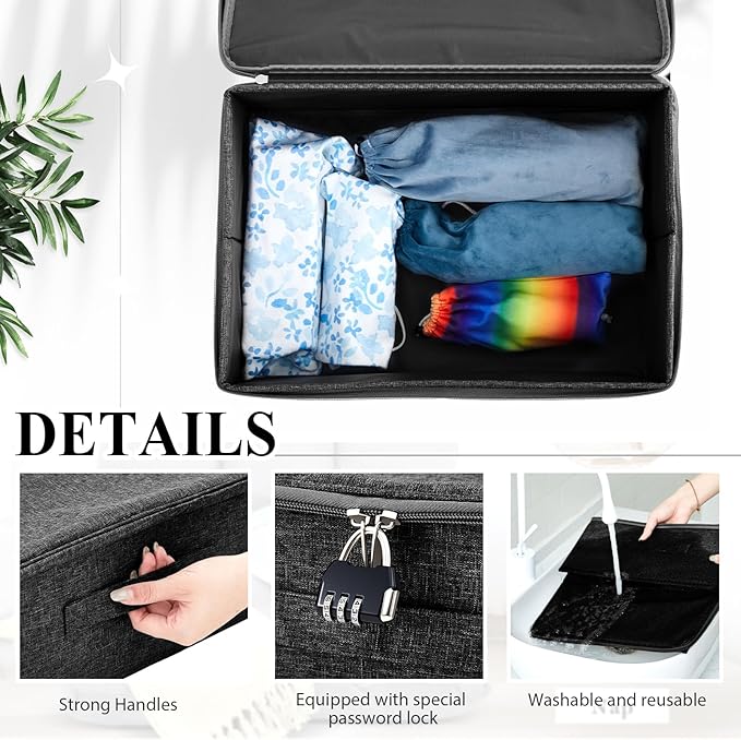 Briwooody Discreet Lockable Toy Bag Storage Organizer Toy Bag Storage Bins Case with Zipper Lid for Women and Men Clothes Container(Black,15 x 10 x 6.3 Inch)