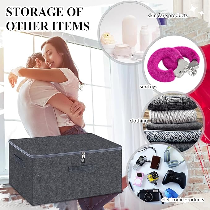 Briwooody Discreet Lockable Toy Bag Storage Organizer Toy Bag Storage Bins Case with Zipper Lid for Women and Men Clothes Container(Gray,19.3 x 14.6 x 11.8 Inch)