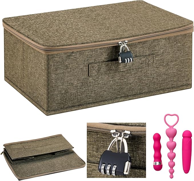 Briwooody Discreet Lockable Toy Bag Storage Organizer Toy Bag Storage Bins Case with Zipper Lid for Women and Men Clothes Container(Coffee,15 x 10 x 6.3 Inch)