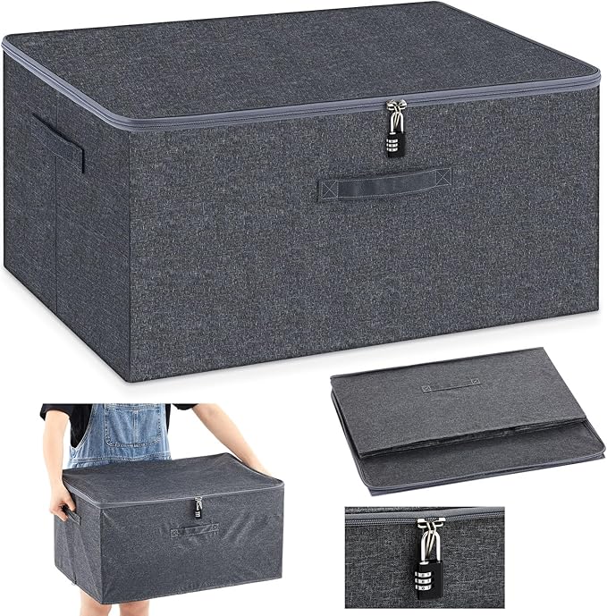 Briwooody Discreet Lockable Toy Bag Storage Organizer Toy Bag Storage Bins Case with Zipper Lid for Women and Men Clothes Container (Gray,23.6 x 15.8 x 11.8 Inch)