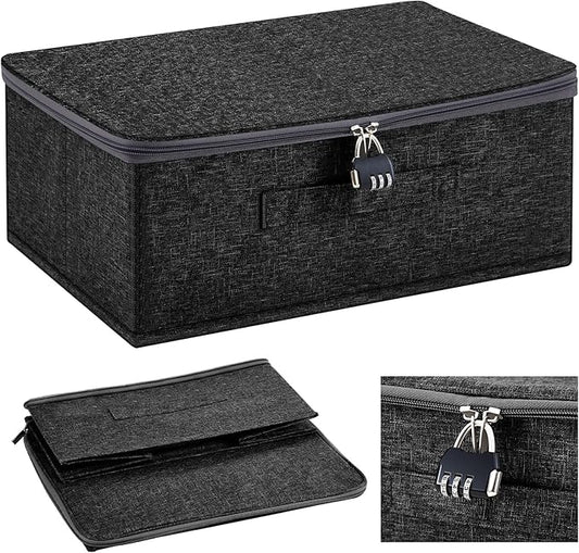 Briwooody Discreet Lockable Toy Bag Storage Organizer Toy Bag Storage Bins Case with Zipper Lid for Women and Men Clothes Container(Black,15 x 10 x 6.3 Inch)